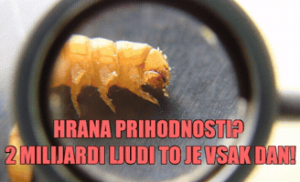 Food GIF