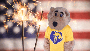 Independence Day Dancing GIF by WVU Tech Golden Bears
