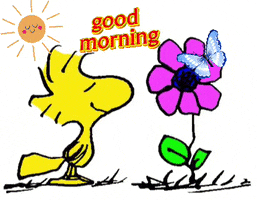 Good Morning GIF