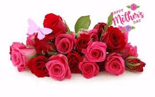 Mothers Day GIF