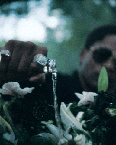 50 Cent Starz GIF by BMF