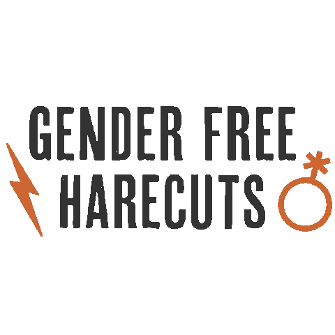 The Jade Rabbit Sticker