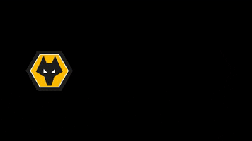 Wolves Fc GIF by Wolves Foundation