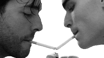 No Problem Gay Sticker by Sam Williams