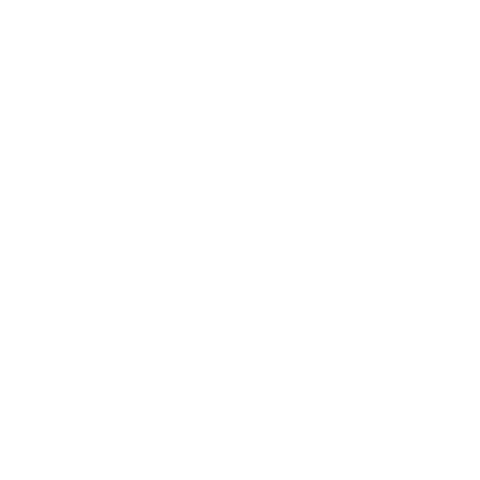 Drone Federation of India Sticker