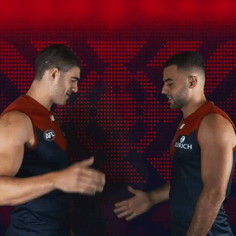 shake it bro GIF by Melbournefc