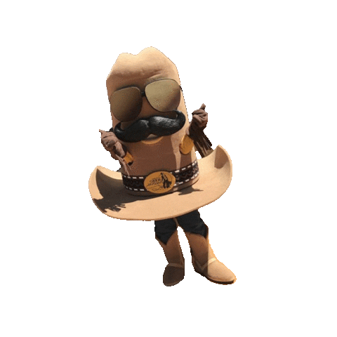 California Rodeo Salinas Sticker