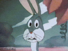 Looney Tunes Stare GIF