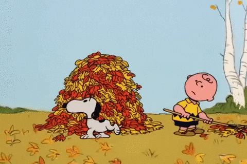 A GIF of Snoopy blowing a leaf onto a big pile of leaves that Charlie Brown has made with a rake. He thanks Snoopy who wags his tail and smiles.