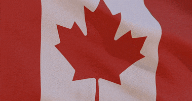 Sport Mascot GIF by Canadian Paralympics