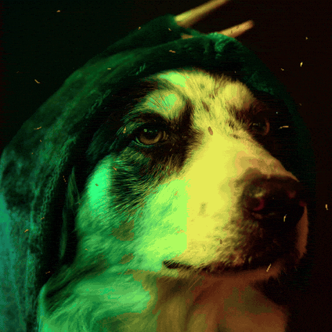 Dino Hund GIF