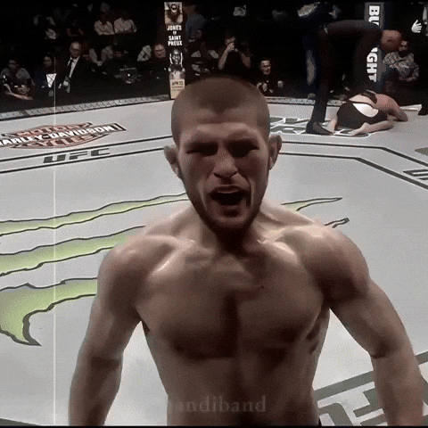 Ufc Goat GIF