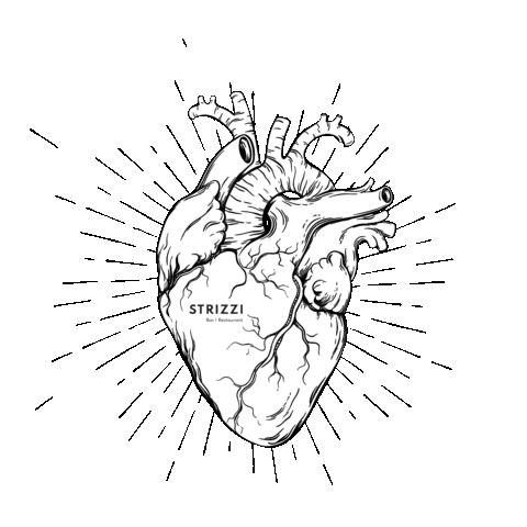 STRIZZI (Bar | Restaurant) Sticker