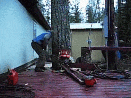 lumberjack GIF