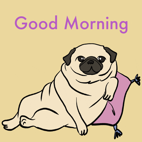 Cartoon gif. A pug lounges upright on a pillow, winking at us. Text, "good morning."