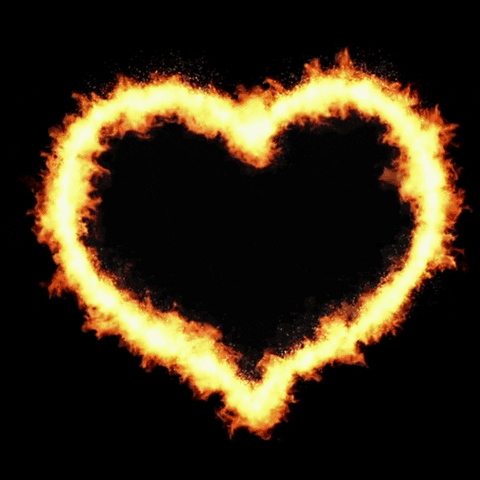 Fire Love GIF by Desafio Vikingo
