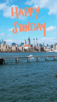 New York Ocean GIF by Yevbel