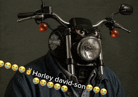 Harley Davidson Son GIF