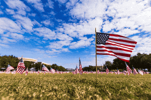 American Flag Usa GIF by University of Central Florida