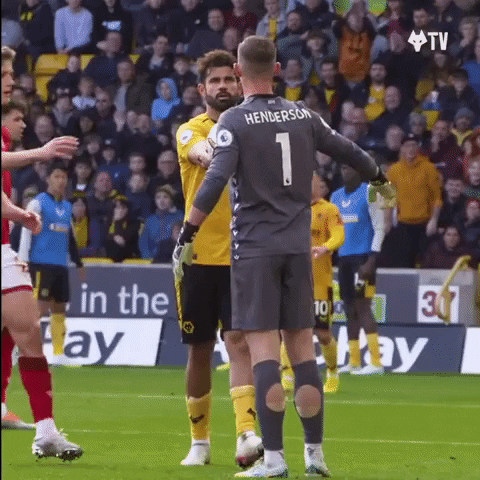 Here You Go Premier League GIF by Wolves