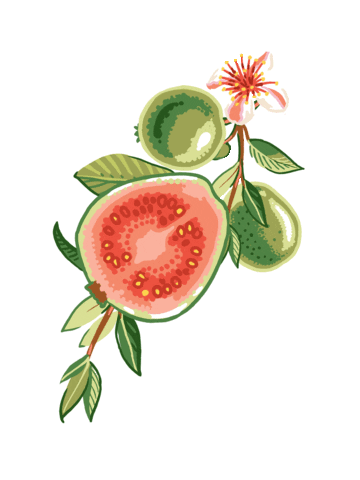 Ceremonia Sticker