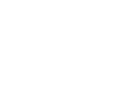 Stu Fad Sticker by AVANT