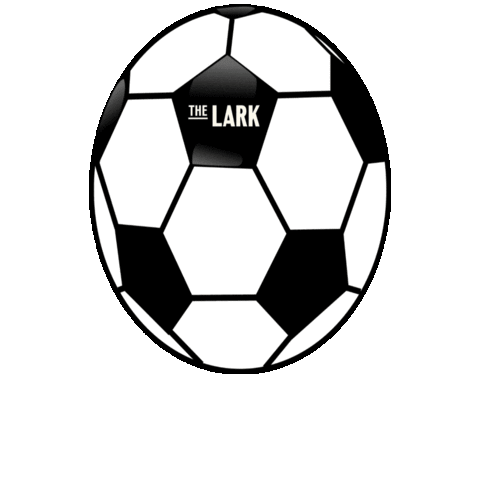 TheLarkLisburn Sticker