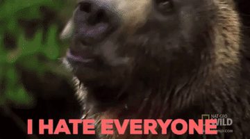i hate everyone bear GIF by chuber channel