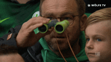 binoculars inspect GIF by VfL Wolfsburg