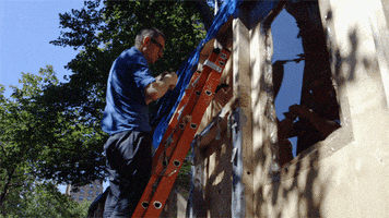 200.gif?cid=fc005b088aafa5569f0ecbdc15c02a49339976ae93c64fce&rid=200.gif&ct=g