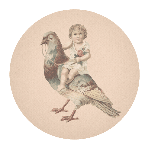 Sticker by Someday Jacob