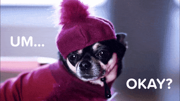 GIF by Hotels.com