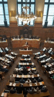 Hamburg Parlament GIF by Hamburgische Bürgerschaft