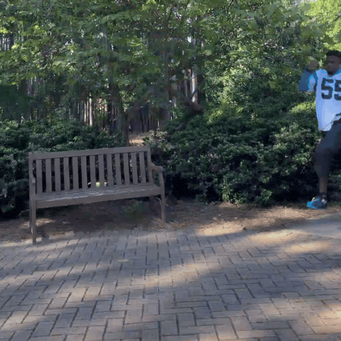 Carolina Panthers Running GIF by Clifford Taylor IV
