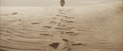 Denis Villeneuve Dune GIF by TIFF