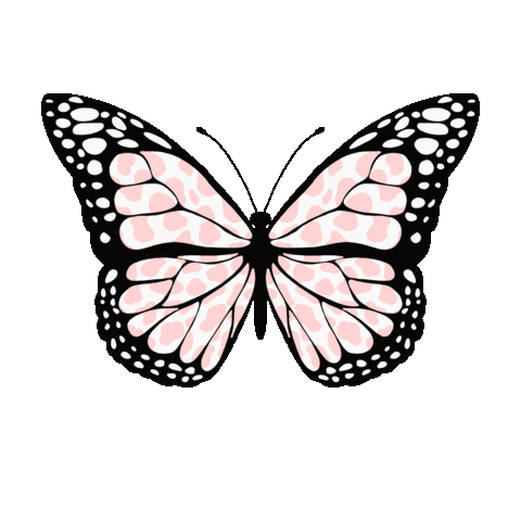 Aesthetic Sticker