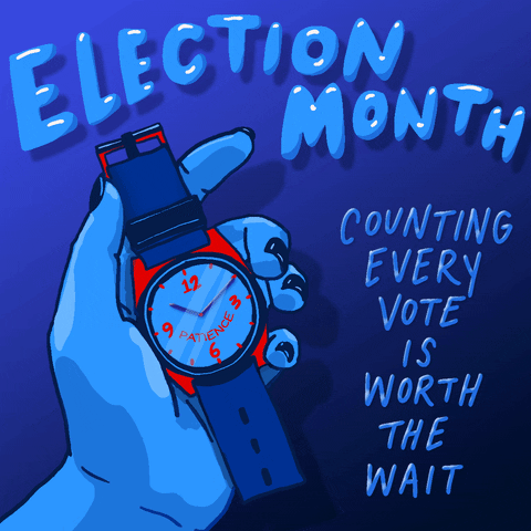 Vote Early Election Night GIF by INTO ACTION