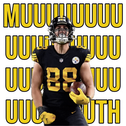 Pittsburgh Steelers GIF