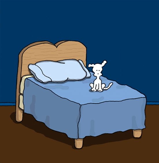 vibrating good night GIF by Chippy the dog