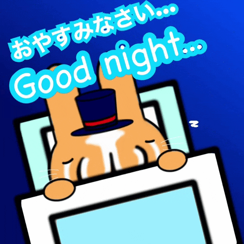 horseface19930912 goodnight good night おやすみ mrbunny GIF