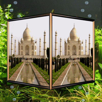 Taj Mahal India GIF
