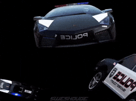 Skeleton GIF
