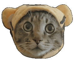 あけましておめでとう New Year Sticker