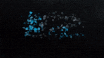 Game Changing Performance GIF