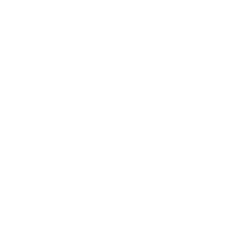 Castro Seguros Sticker