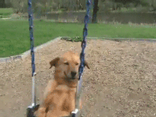 source.gif