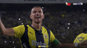 Edin Dzeko GIF by Fenerbahçe