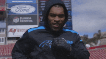 Julius Peppers Punch GIF by Carolina Panthers