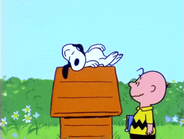 200.gif?cid=f0bdee70bxribvcwsln9vv20ownbx1uxe11pcveaiwudx6py&rid=200.gif&ct=g