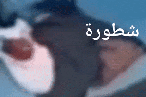Zaid GIF